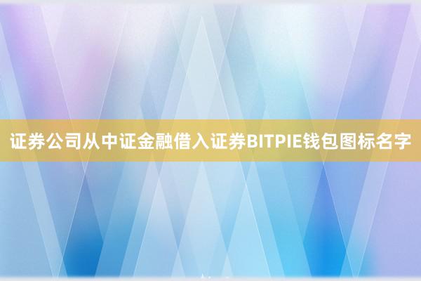 证券公司从中证金融借入证券BITPIE钱包图标名字