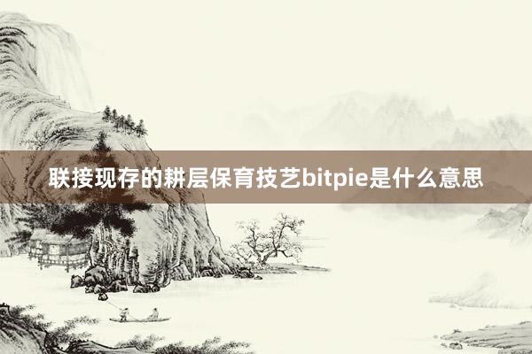 联接现存的耕层保育技艺bitpie是什么意思