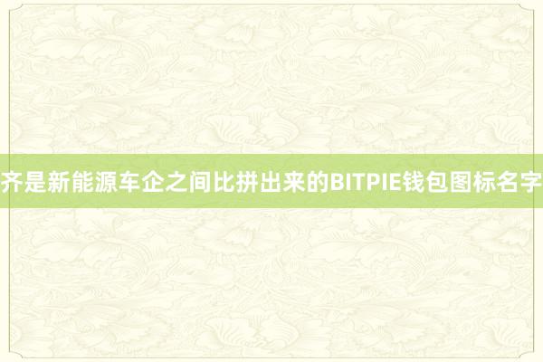 齐是新能源车企之间比拼出来的BITPIE钱包图标名字