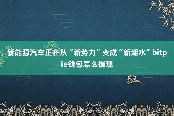 新能源汽车正在从“新势力”变成“新潮水”bitpie钱包怎么提现