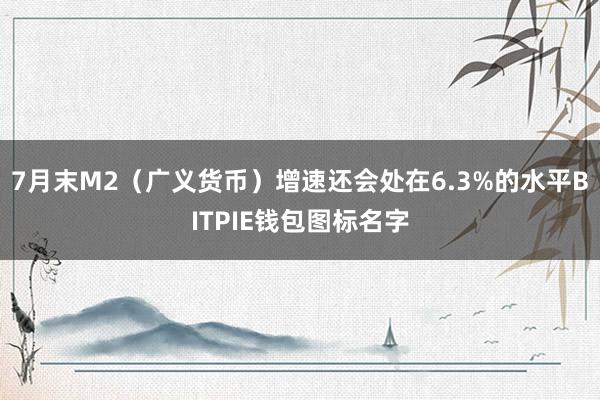 7月末M2（广义货币）增速还会处在6.3%的水平BITPIE钱包图标名字