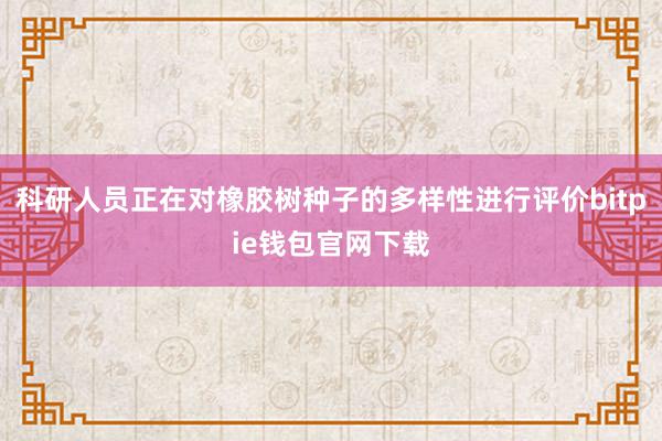 科研人员正在对橡胶树种子的多样性进行评价bitpie钱包官网下载