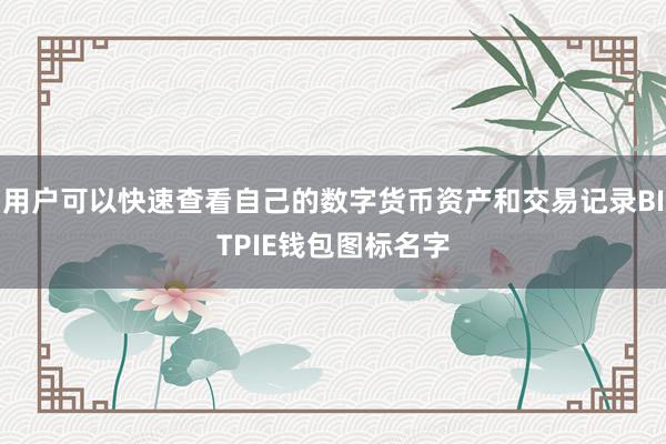 用户可以快速查看自己的数字货币资产和交易记录BITPIE钱包图标名字