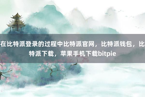 在比特派登录的过程中比特派官网，比特派钱包，比特派下载，苹果手机下载bitpie