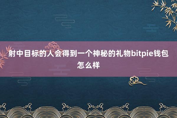 射中目标的人会得到一个神秘的礼物bitpie钱包怎么样