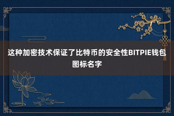 这种加密技术保证了比特币的安全性BITPIE钱包图标名字