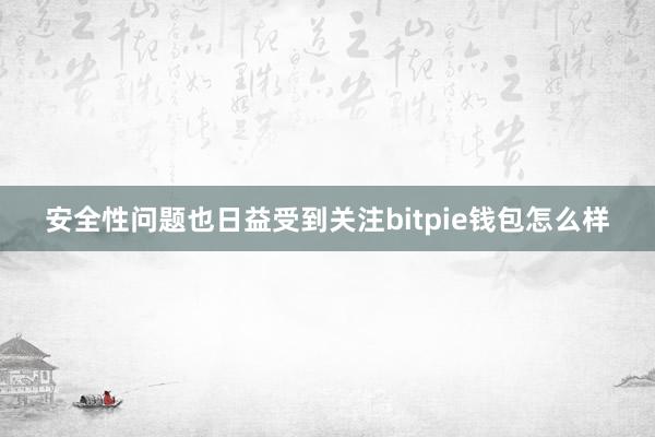 安全性问题也日益受到关注bitpie钱包怎么样