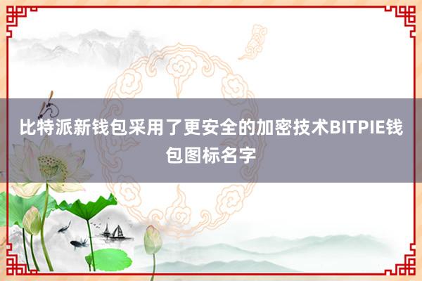 比特派新钱包采用了更安全的加密技术BITPIE钱包图标名字