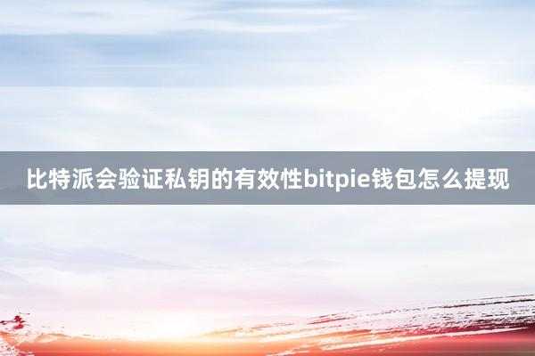 比特派会验证私钥的有效性bitpie钱包怎么提现