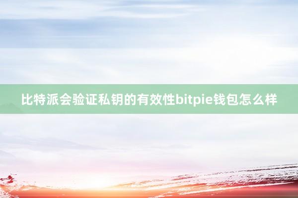 比特派会验证私钥的有效性bitpie钱包怎么样