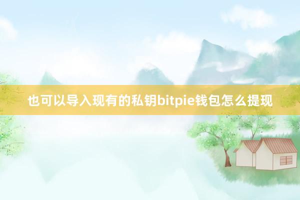 也可以导入现有的私钥bitpie钱包怎么提现