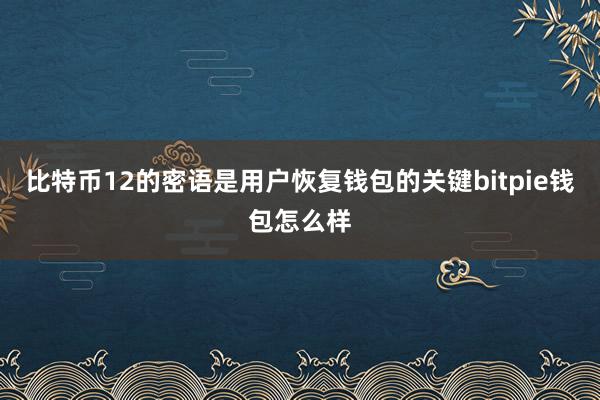 比特币12的密语是用户恢复钱包的关键bitpie钱包怎么样