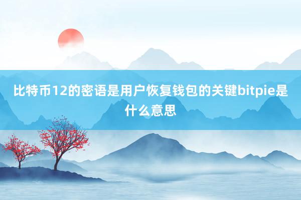 比特币12的密语是用户恢复钱包的关键bitpie是什么意思