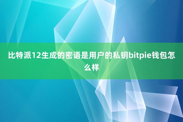 比特派12生成的密语是用户的私钥bitpie钱包怎么样