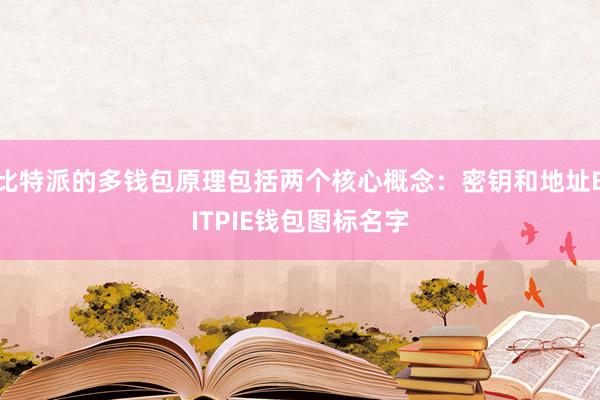 比特派的多钱包原理包括两个核心概念：密钥和地址BITPIE钱包图标名字