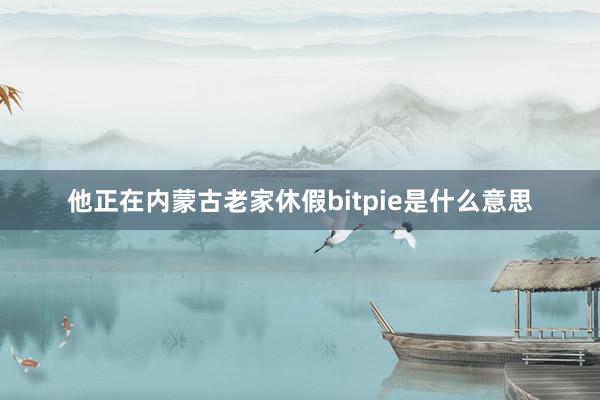 他正在内蒙古老家休假bitpie是什么意思