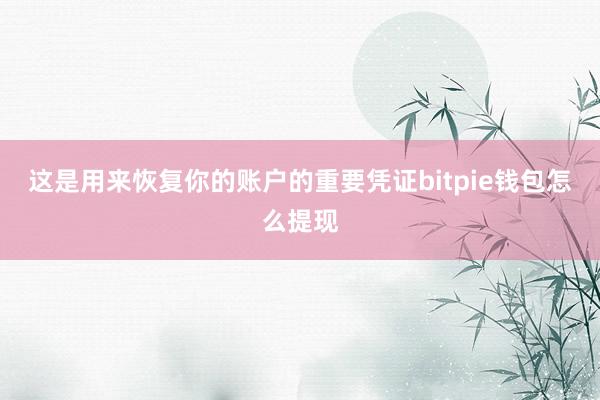 这是用来恢复你的账户的重要凭证bitpie钱包怎么提现