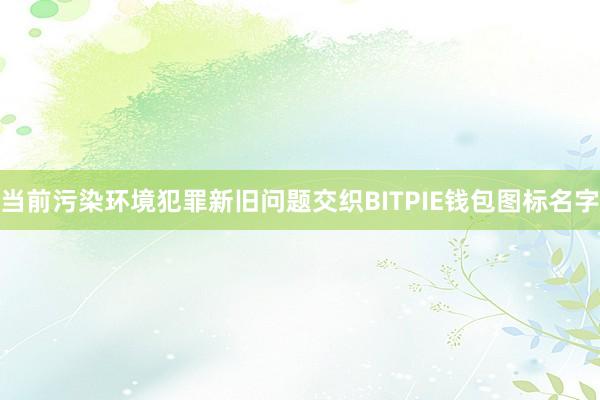 当前污染环境犯罪新旧问题交织BITPIE钱包图标名字