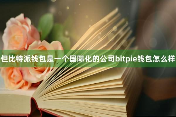 但比特派钱包是一个国际化的公司bitpie钱包怎么样