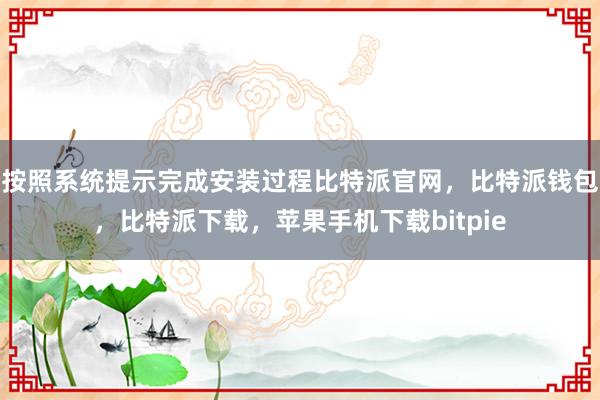 按照系统提示完成安装过程比特派官网，比特派钱包，比特派下载，苹果手机下载bitpie