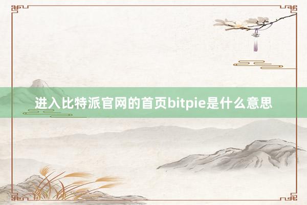 进入比特派官网的首页bitpie是什么意思