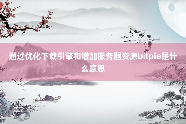 通过优化下载引擎和增加服务器资源bitpie是什么意思