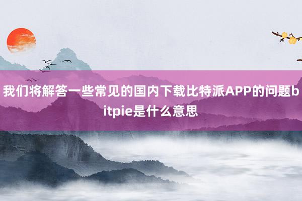 我们将解答一些常见的国内下载比特派APP的问题bitpie是什么意思