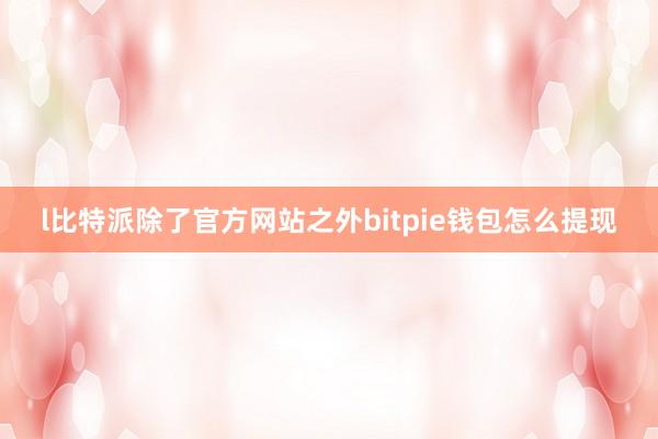 l比特派除了官方网站之外bitpie钱包怎么提现