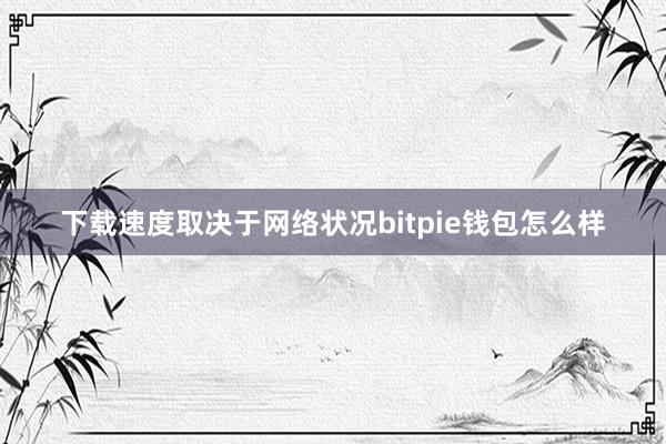 下载速度取决于网络状况bitpie钱包怎么样