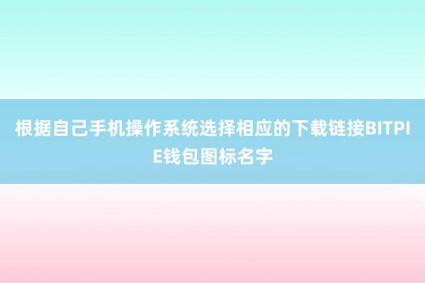 根据自己手机操作系统选择相应的下载链接BITPIE钱包图标名字