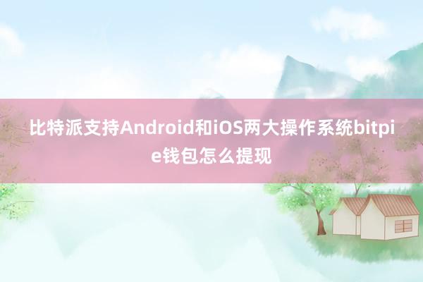 比特派支持Android和iOS两大操作系统bitpie钱包怎么提现