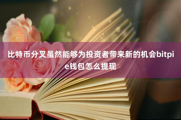 比特币分叉虽然能够为投资者带来新的机会bitpie钱包怎么提现