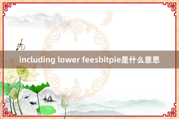 including lower feesbitpie是什么意思