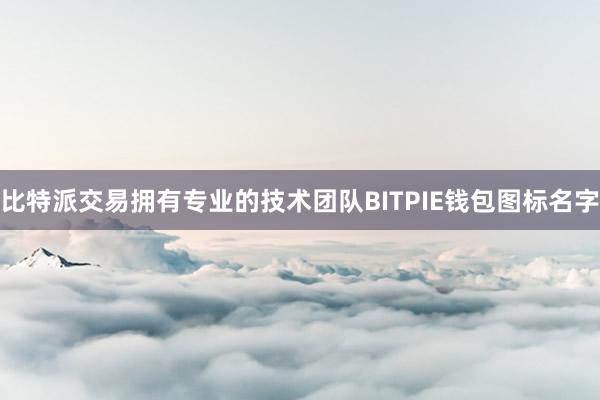 比特派交易拥有专业的技术团队BITPIE钱包图标名字