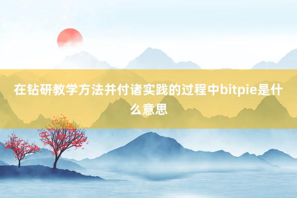 在钻研教学方法并付诸实践的过程中bitpie是什么意思