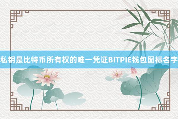 私钥是比特币所有权的唯一凭证BITPIE钱包图标名字