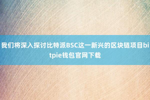 我们将深入探讨比特派BSC这一新兴的区块链项目bitpie钱包官网下载