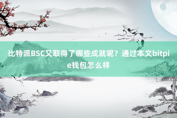 比特派BSC又取得了哪些成就呢？通过本文bitpie钱包怎么样