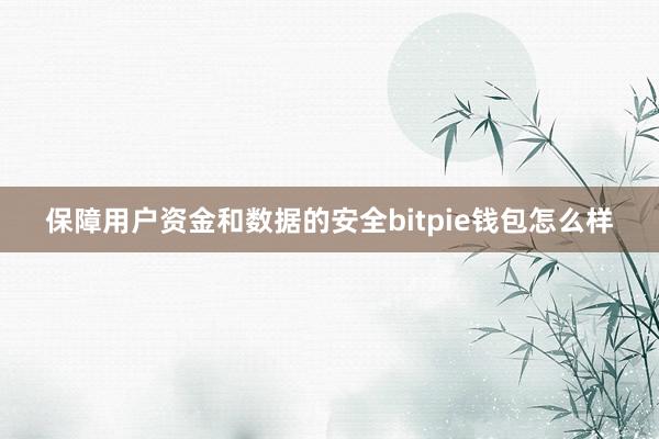 保障用户资金和数据的安全bitpie钱包怎么样