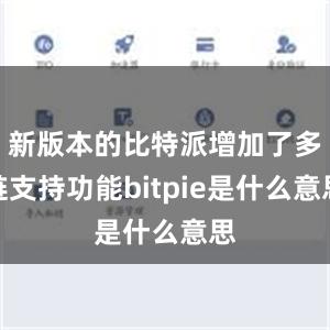 新版本的比特派增加了多链支持功能bitpie是什么意思