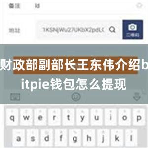 财政部副部长王东伟介绍bitpie钱包怎么提现