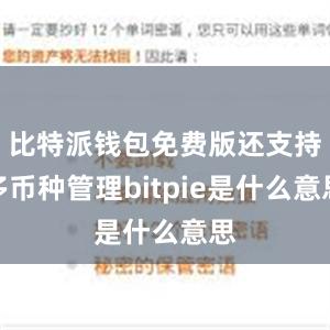 比特派钱包免费版还支持多币种管理bitpie是什么意思