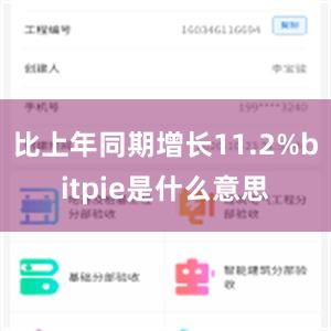 比上年同期增长11.2%bitpie是什么意思