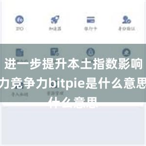 进一步提升本土指数影响力竞争力bitpie是什么意思