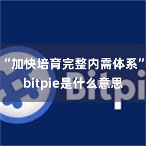 “加快培育完整内需体系”bitpie是什么意思