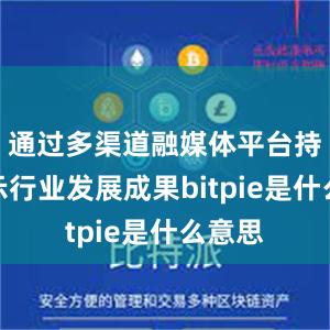 通过多渠道融媒体平台持续展示行业发展成果bitpie是什么意思