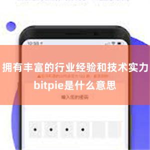 拥有丰富的行业经验和技术实力bitpie是什么意思