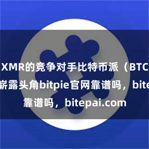 XMR的竞争对手比特币派（BTC）也开始崭露头角bitpie官网靠谱吗，bitepai.com