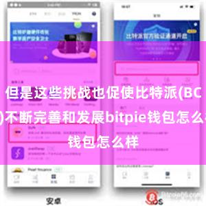 但是这些挑战也促使比特派(BCH)不断完善和发展bitpie钱包怎么样