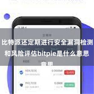 比特派还定期进行安全漏洞检测和风险评估bitpie是什么意思